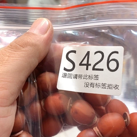 大叶紫檀（黑酸枝木类）426