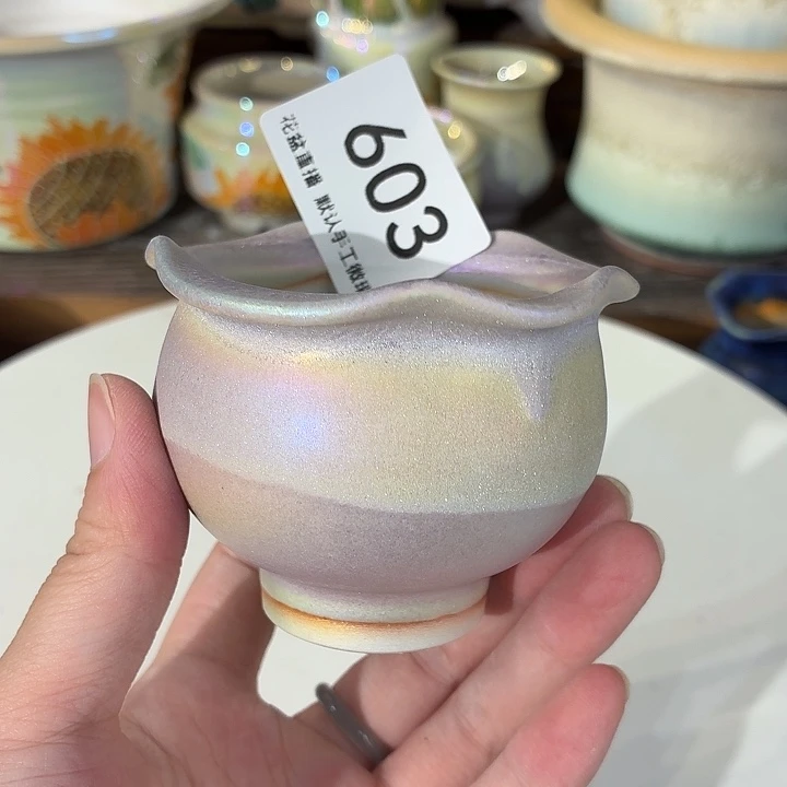 花盆花盆花盆花盆炫彩