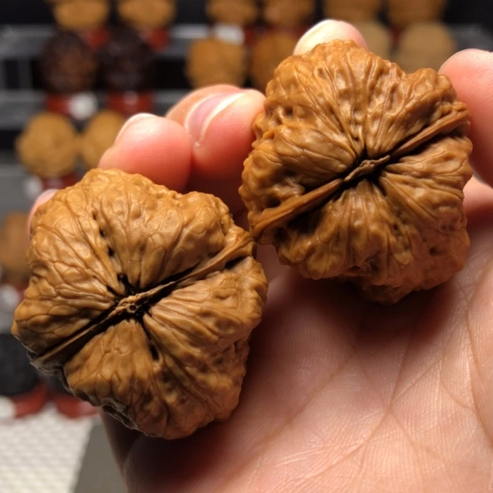 把件文玩核桃13龙脊妖蟾