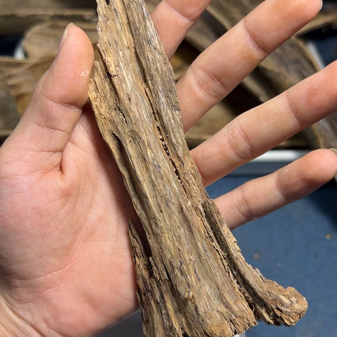 沉香碎屑沉香土沉皮油料15.9克