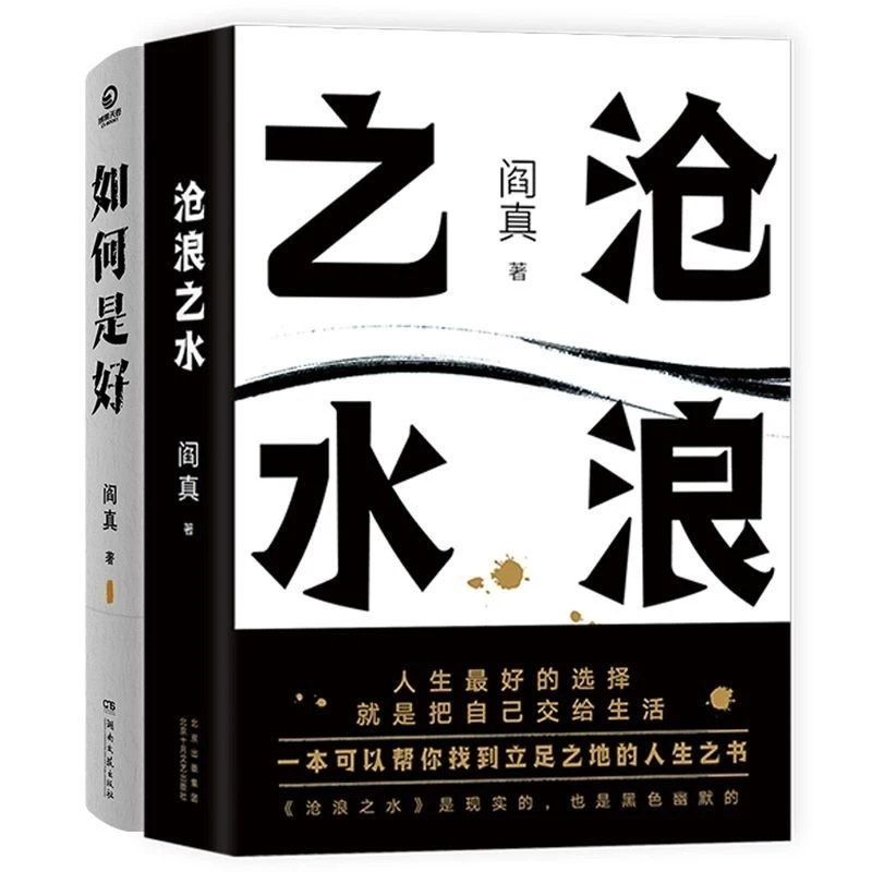 沧浪之水电视剧岁月阎真原著现当代经典官场职场小说如何是好