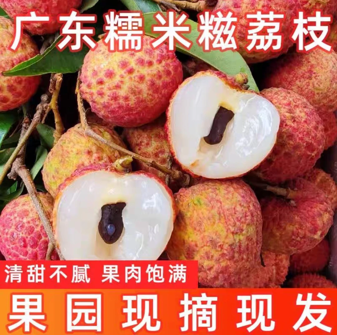 【顺丰冷链】正宗糯米糍荔枝肉厚核小新鲜应季水果 福建仓发货