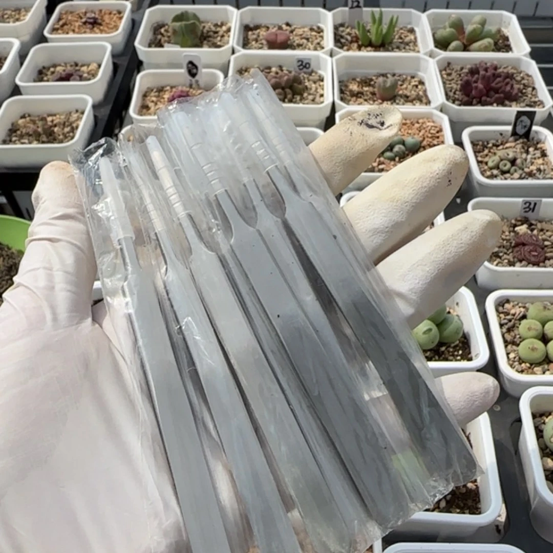 6-9-扒皮专用镊子一把包邮