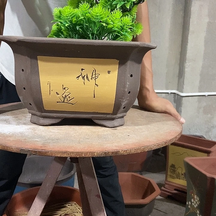 紫砂花盆37 花盆花盆花盆花盆花盆