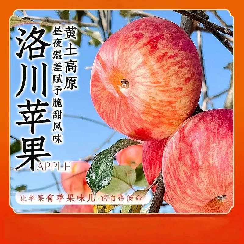 【东方溯源】自营洛川苹果新鲜水果送礼整箱装坏果包赔 产地直发
