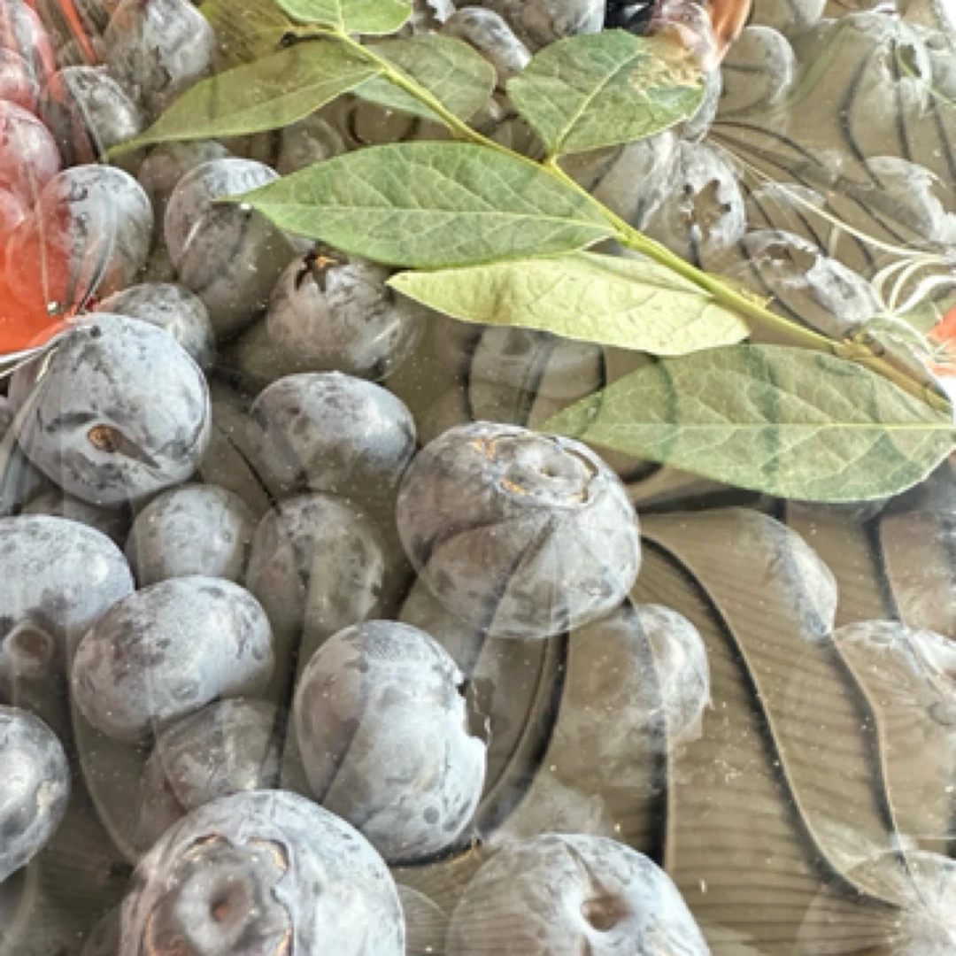 L25花香蓝莓鲜果