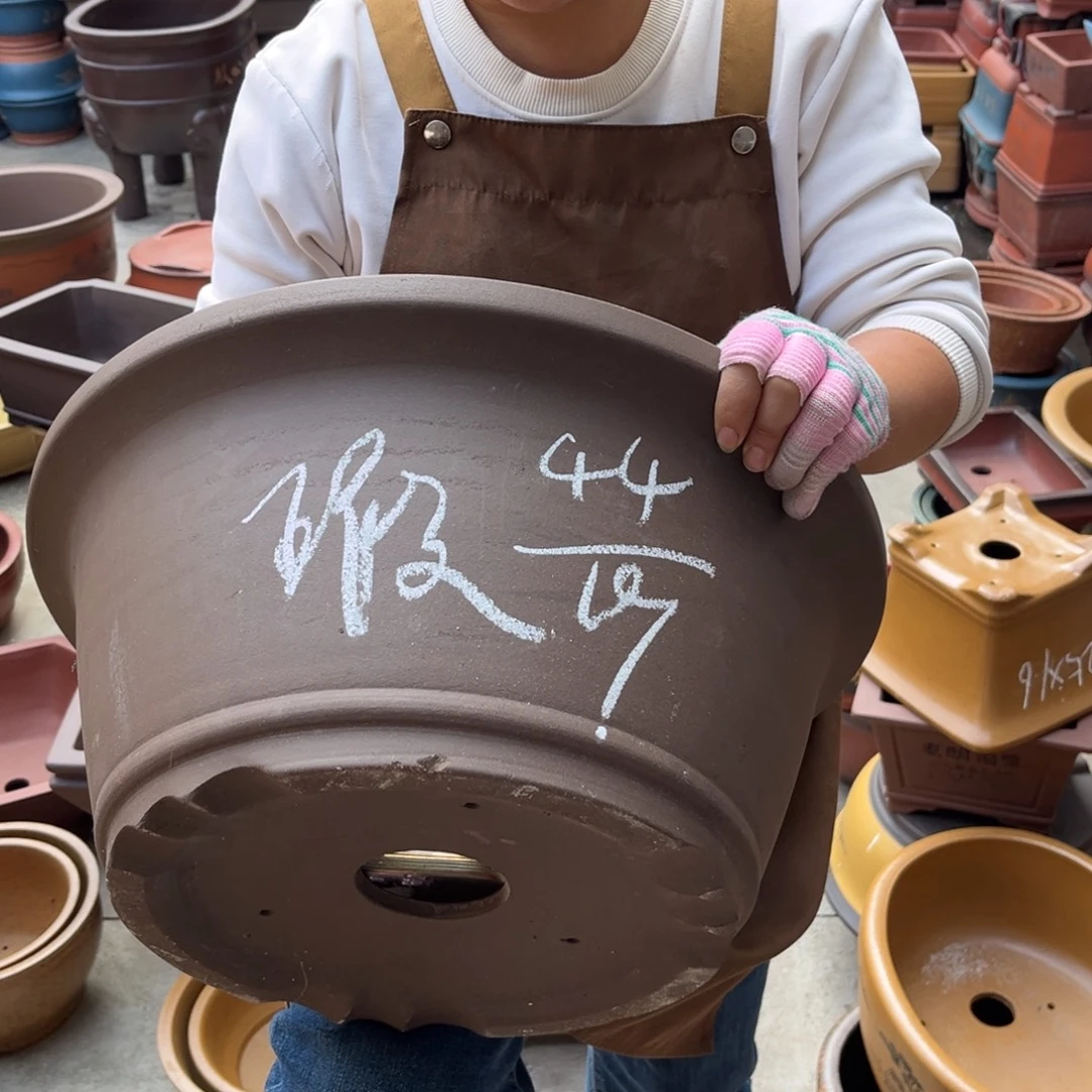 花盆底槽青盆景艺术