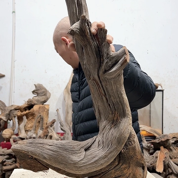 柏木落**悔我们都是好孩子呀我也