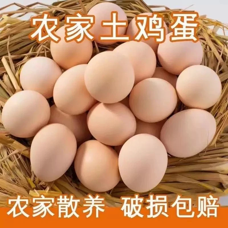 正宗农家散养土鸡蛋新鲜营养笨鸡蛋柴鸡蛋