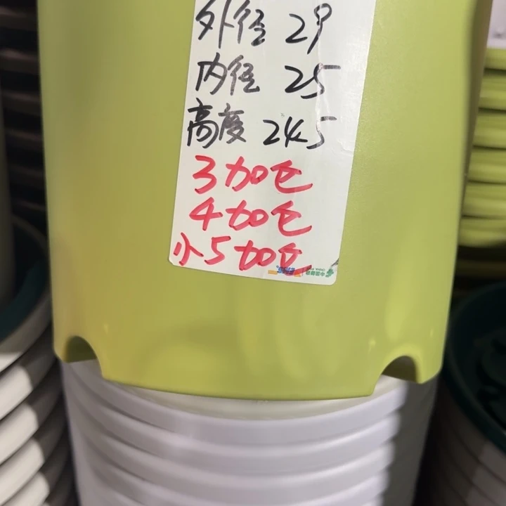 四季5号果绿无托18个特价微瑕