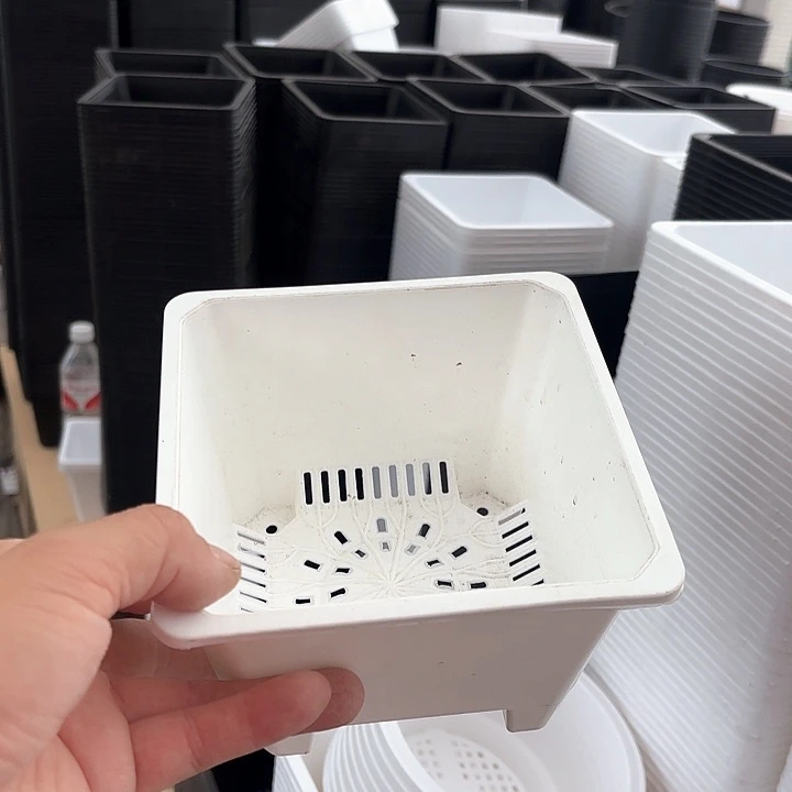 新款140白方盆10个高9.5厘米