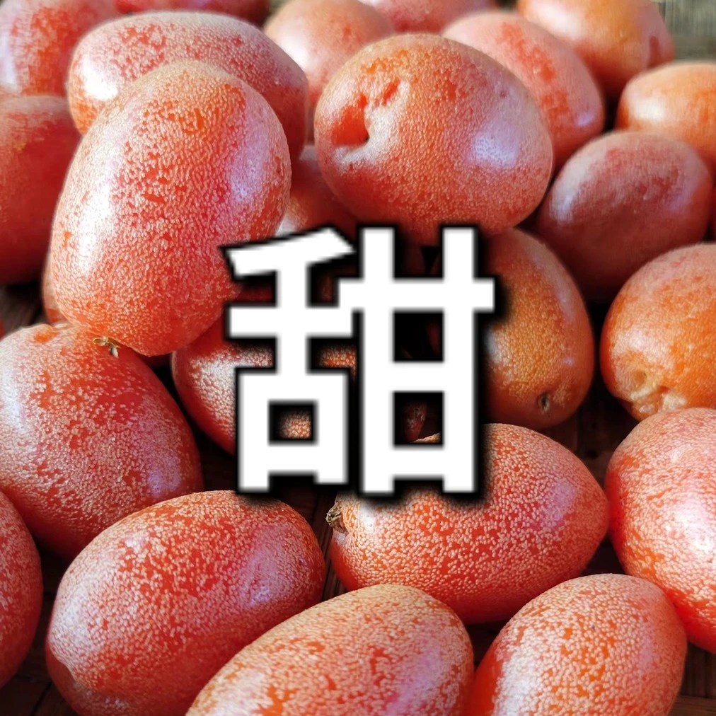 水果 甜羊奶果6 胡颓子 孕妇水果 云南产地直发 现摘现发 顺丰包