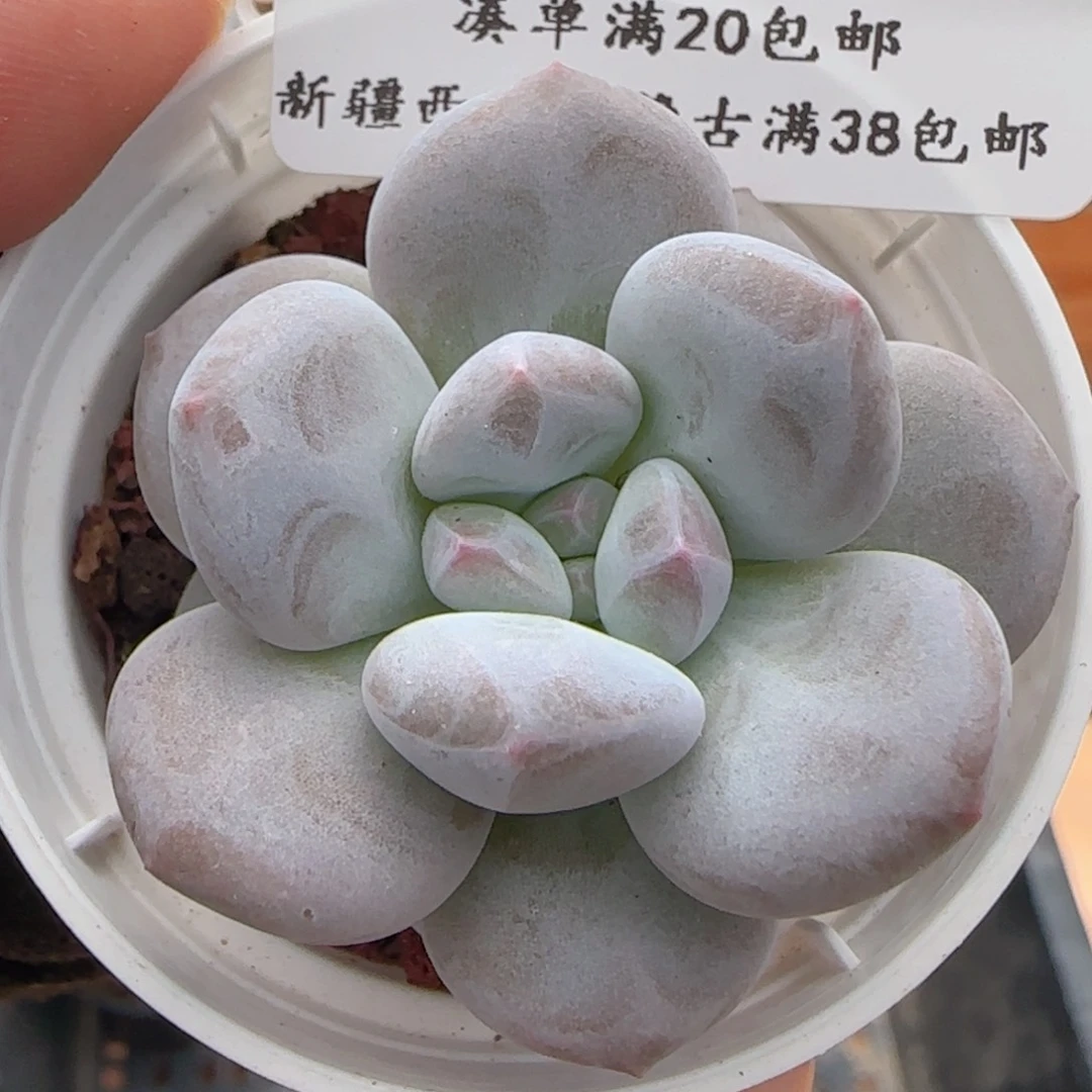 0616-225福利福利