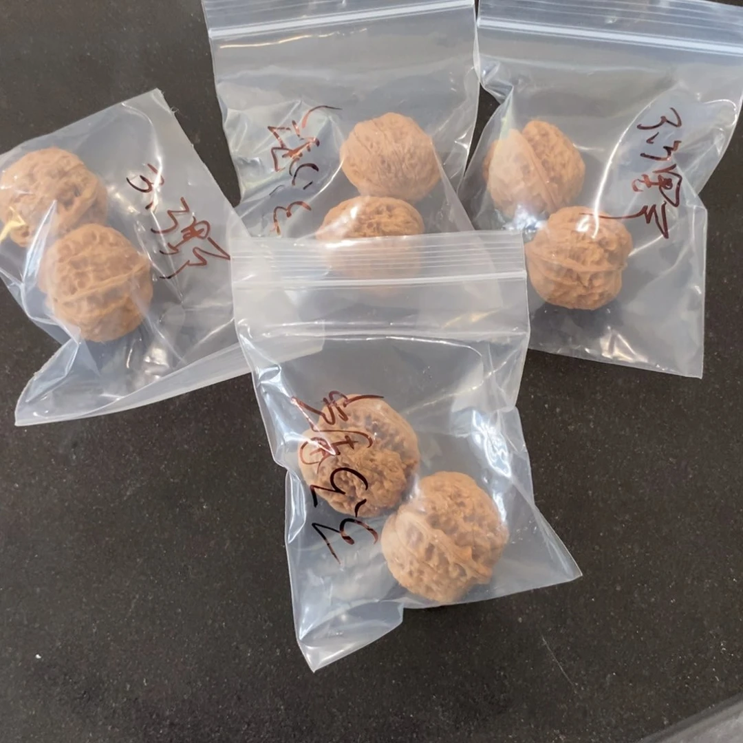 文玩核桃吊坠3.3野果