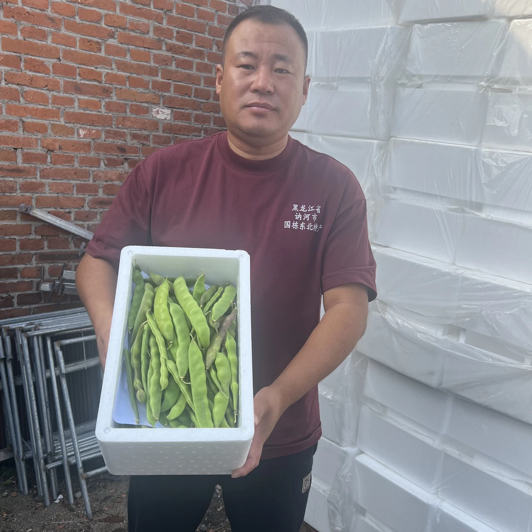 黑龙江讷河油豆角现摘现发4.5斤