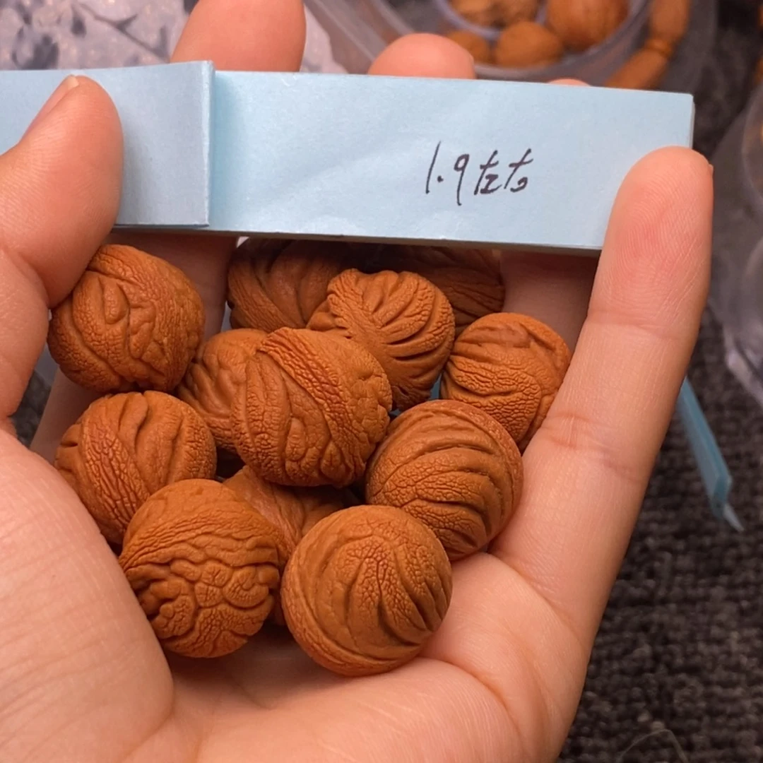 秦岭山脉龙纹桃核。14
