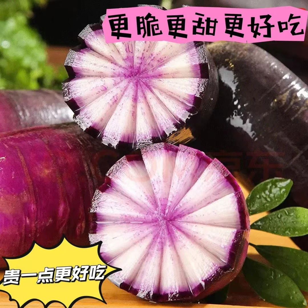 【潍县水果萝卜口感巨好水晶脆31】冰激凌萝卜潍坊水果萝卜现拔现发产地直采头茬24小时到达正宗萝卜