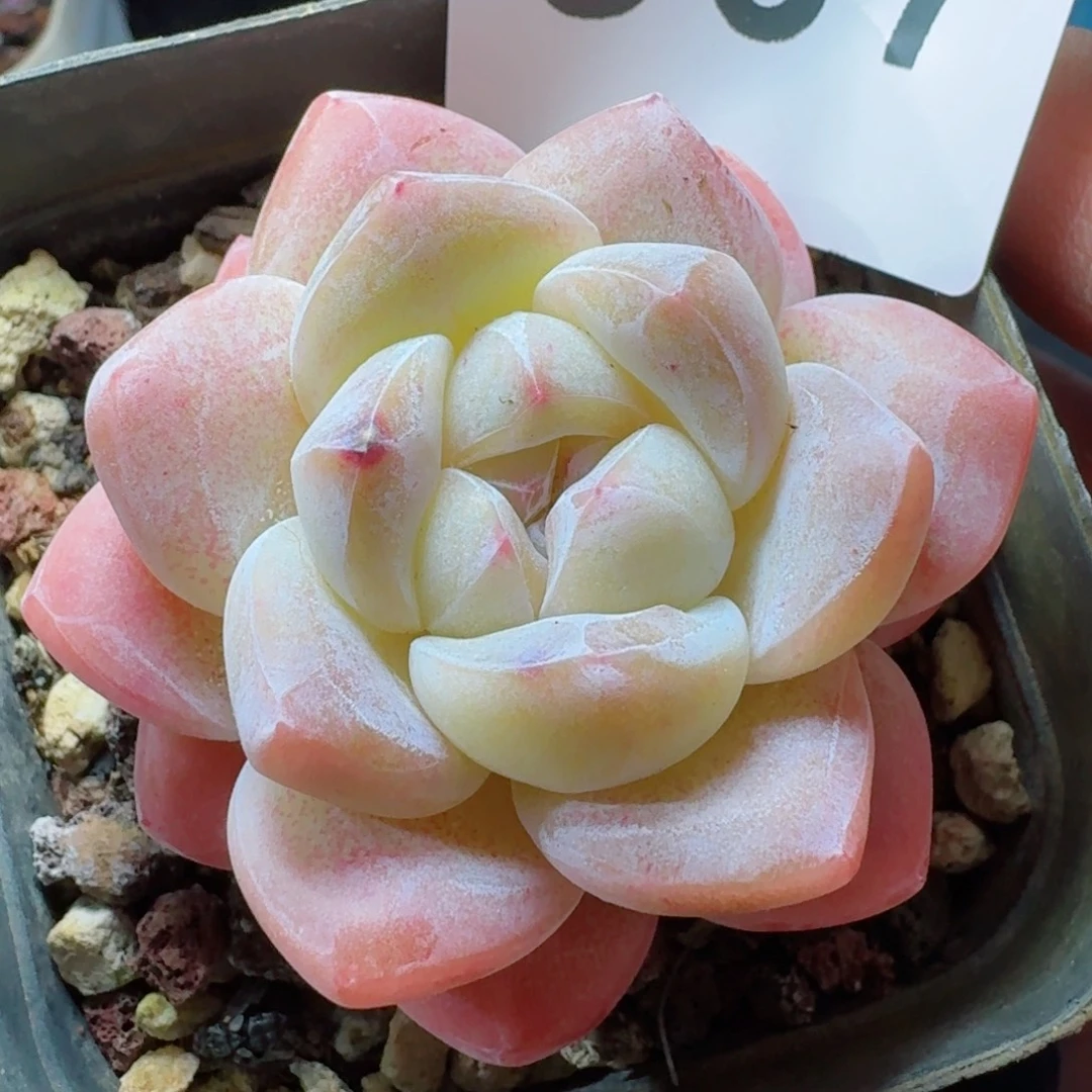 福利      愿你一路坦途，乘风破浪展宏图