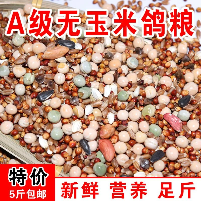 优质营养鸽粮50斤包邮含高粱小麦玉米粒无玉米适合幼鸽的清洁鸽子