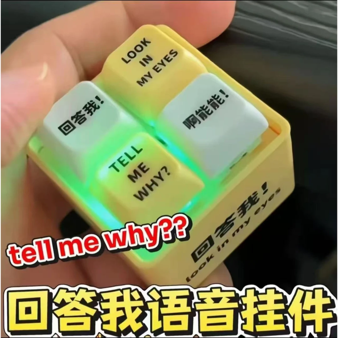 回答我语音按键解压神器玩具语录发音发光钥匙扣按键玩具趣味