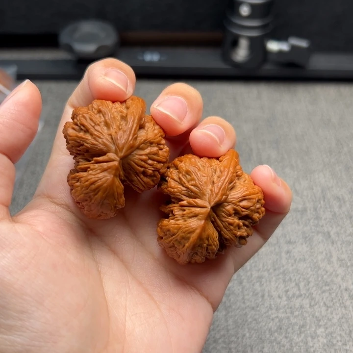 文玩核桃白狮子牛异型