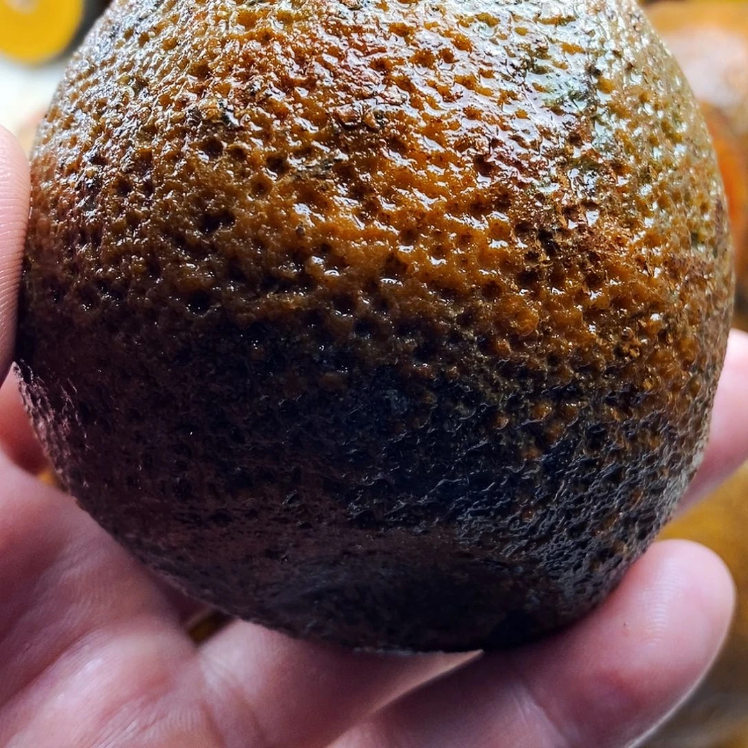 农***拳定制玛瑙未镶嵌战国红