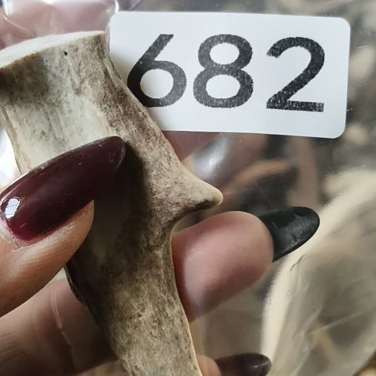 u***6鹿角鹿角鹿角鹿角鹿角鹿角