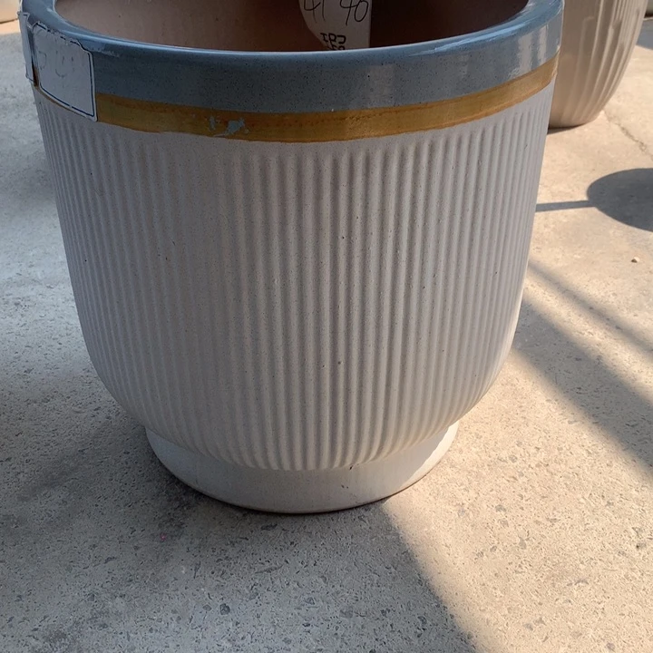 花盆里的小猫咪们都好可爱啊哈哈