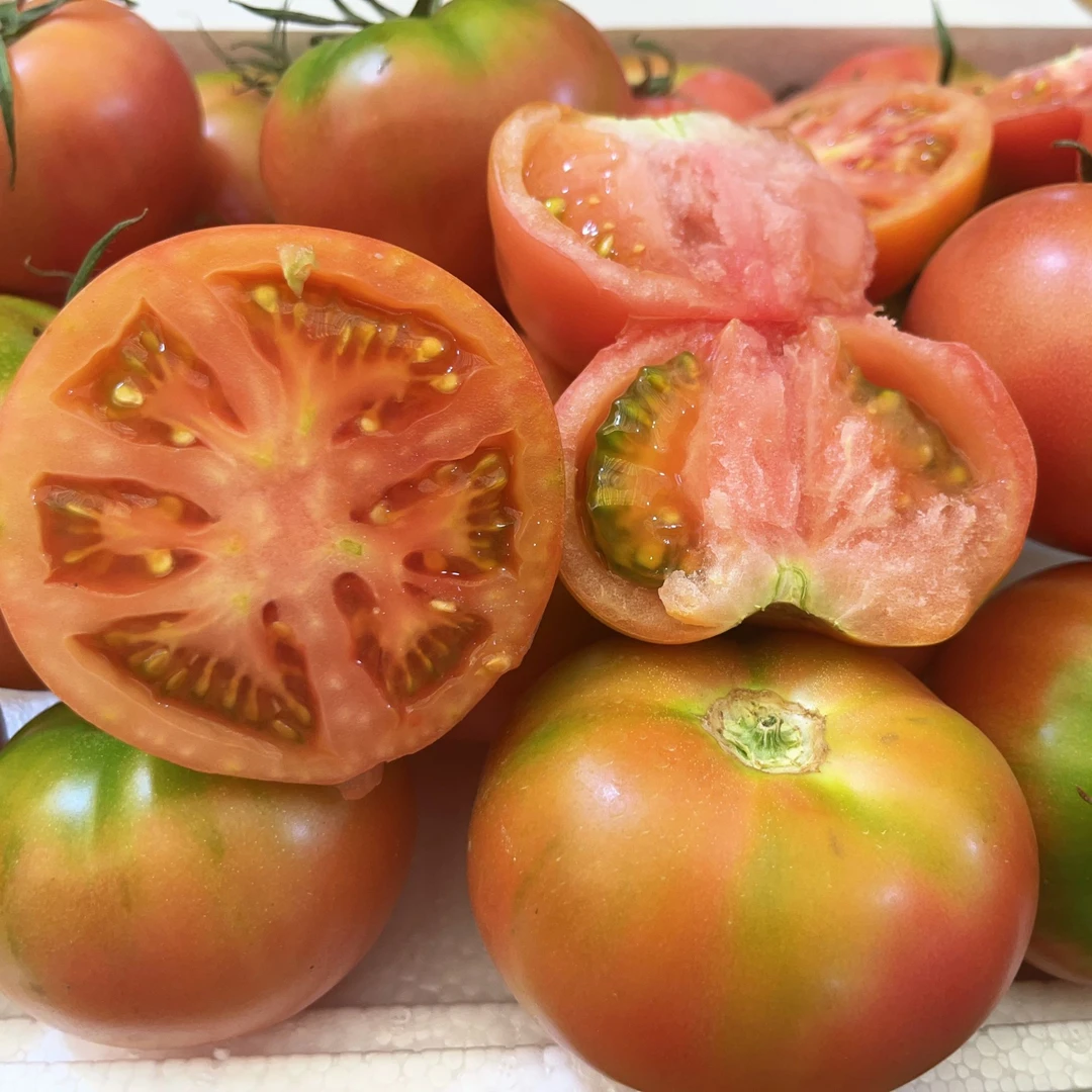 【猴瘦瘦农场】大草莓西红柿1斤起新鲜天津市