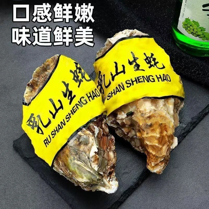 鲜活乳山金标生蚝 6两左右/只 5斤～10斤