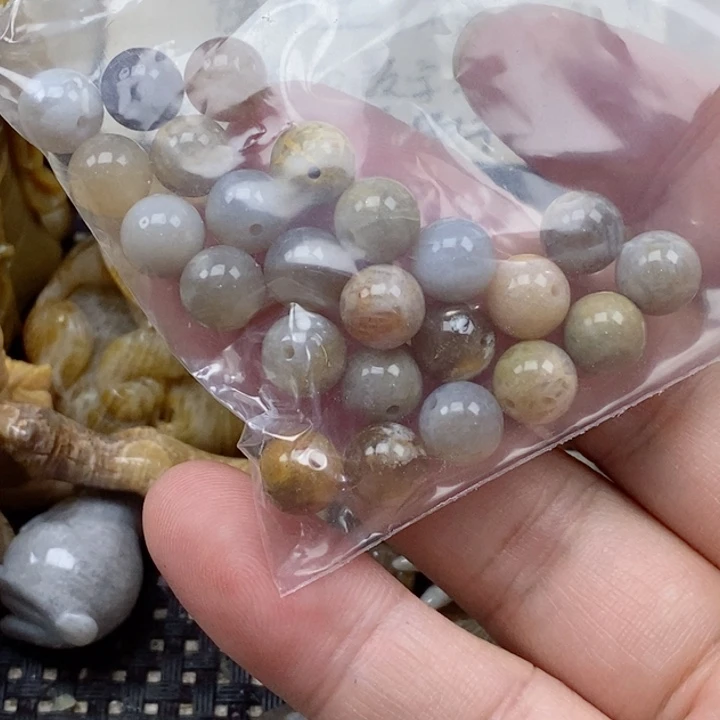 颈饰未镶嵌硅化珊瑚（珊瑚玉）