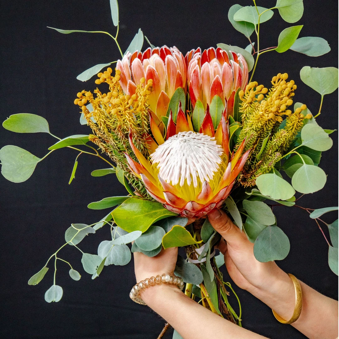 【金碧辉煌】南非进口新鲜公主花花束鲜花高级感