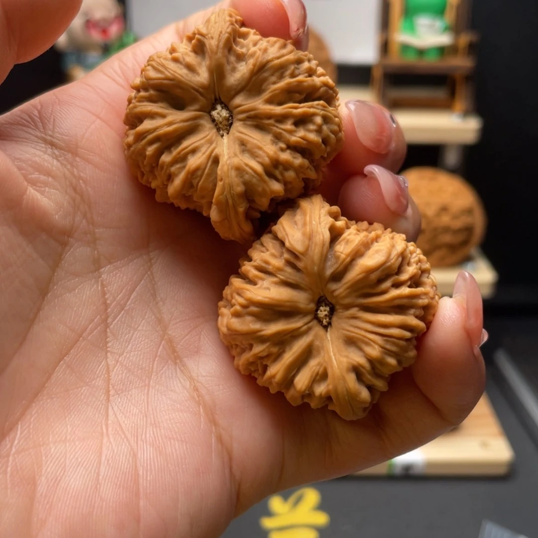 【闪购商品】Z*Q39-38-41，高炮，26号