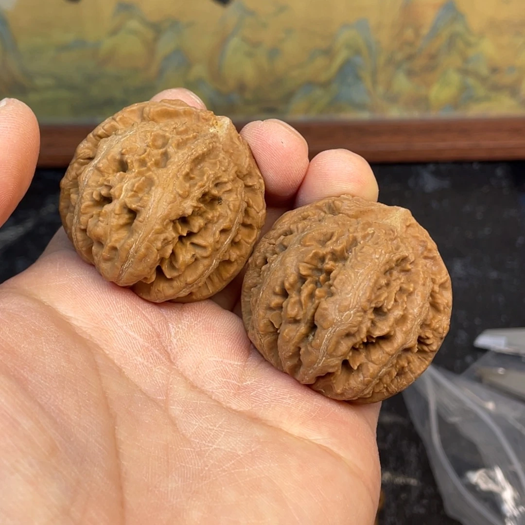 核桃9号链接99999