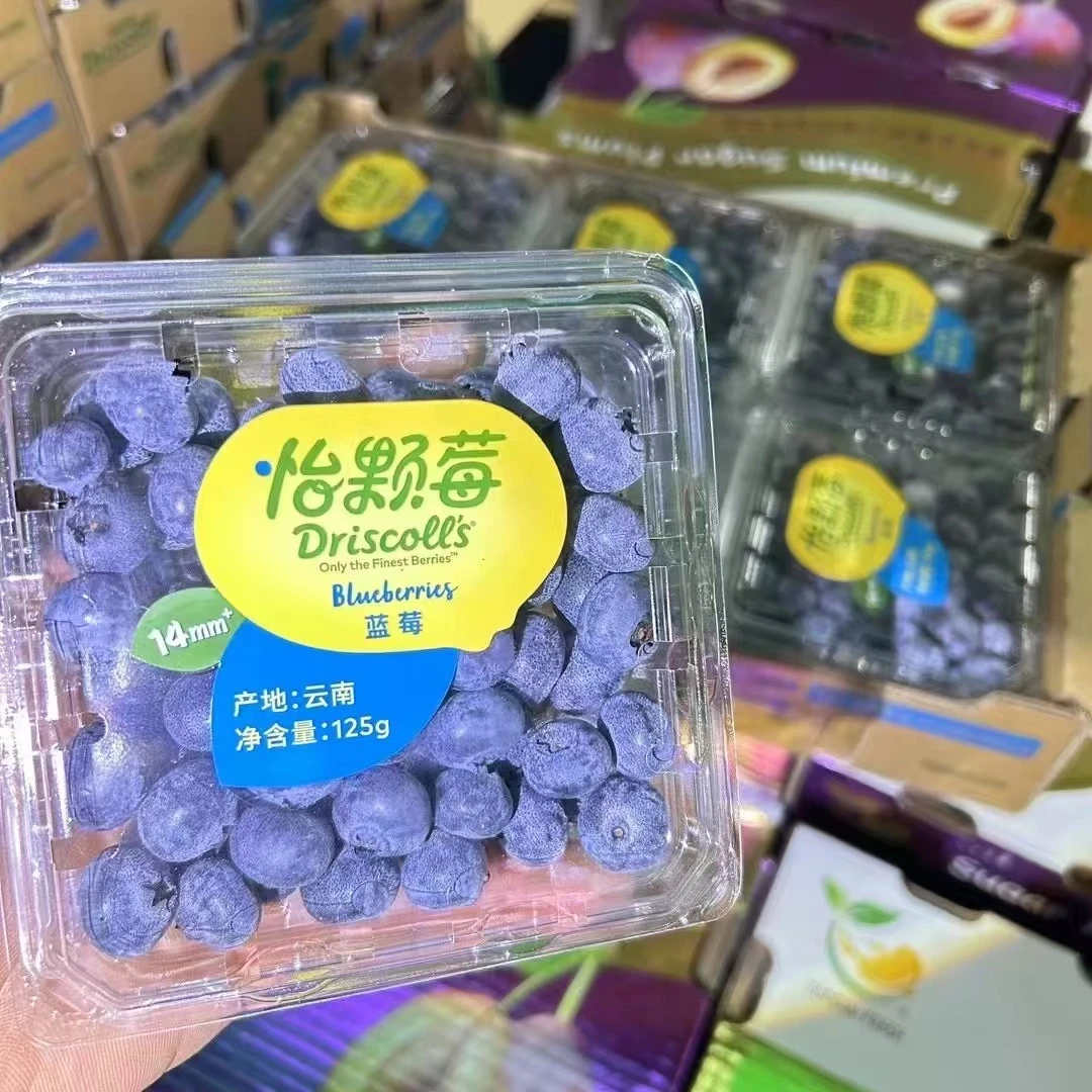 【1次日达】怡颗莓蓝莓一盒125g装云南14-18mm新鲜云南省
