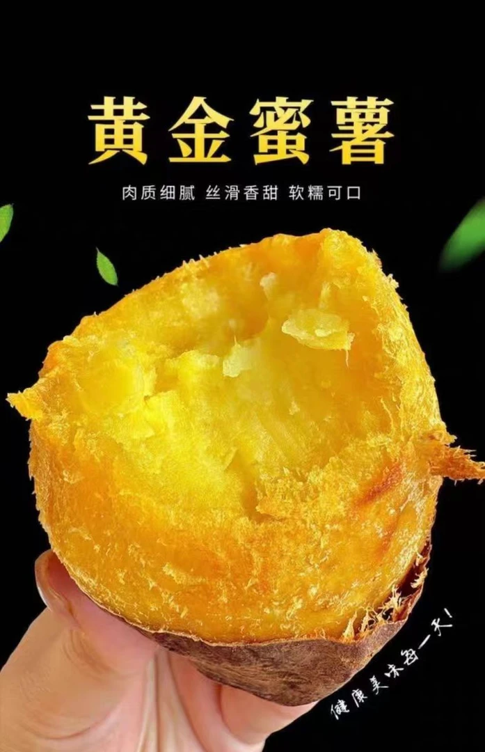 正宗黄心蜜薯新鲜现挖软糯香甜超甜地瓜番薯
