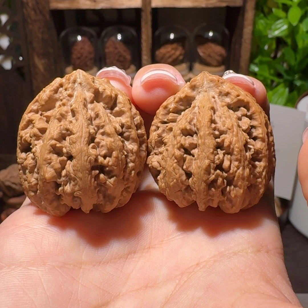 文玩核桃把件蚂蚁包子