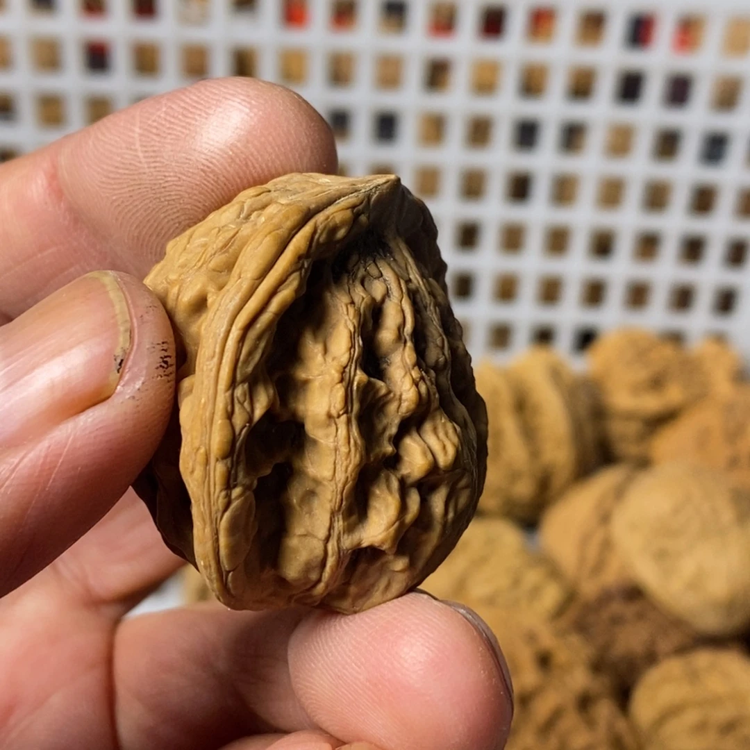 大***闪大叶紫檀（黑酸枝木类）
