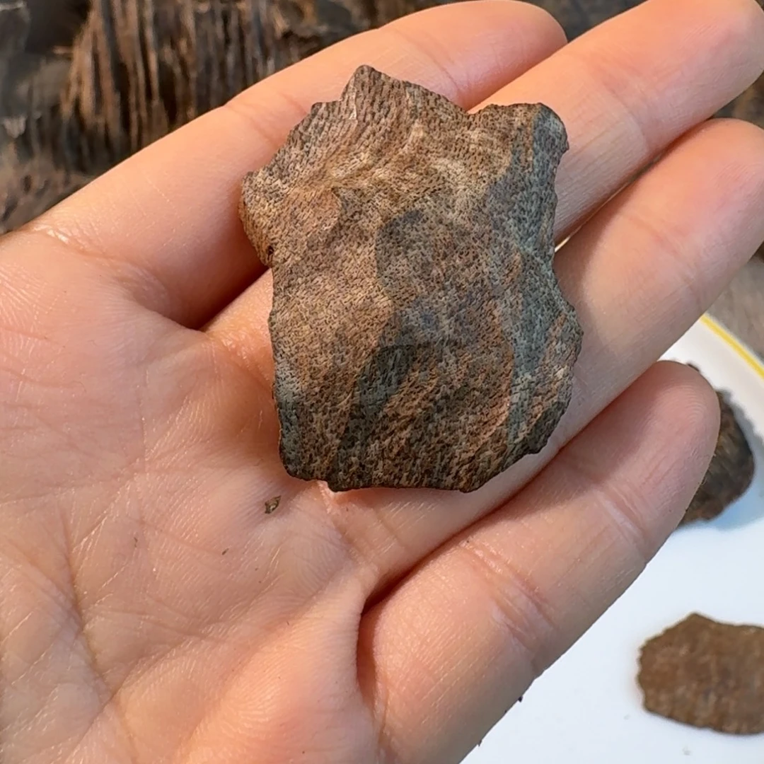 沉香沉香碎屑香港精品老包头一块2