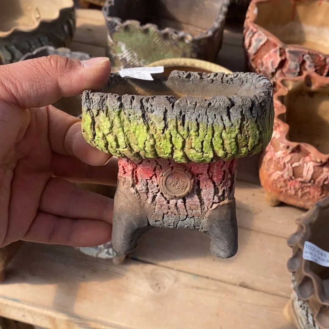 9号花盆内9.5高10