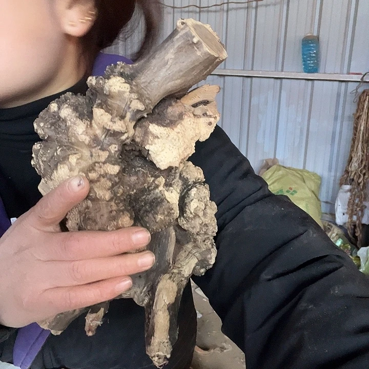 香榧木麻辣香辣辣香脆