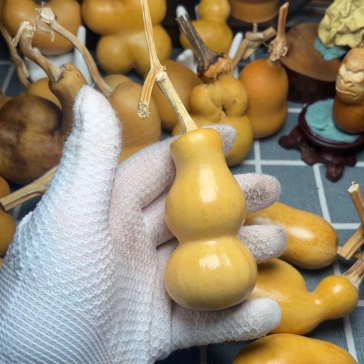 守***人葫芦花嘴6666666666666