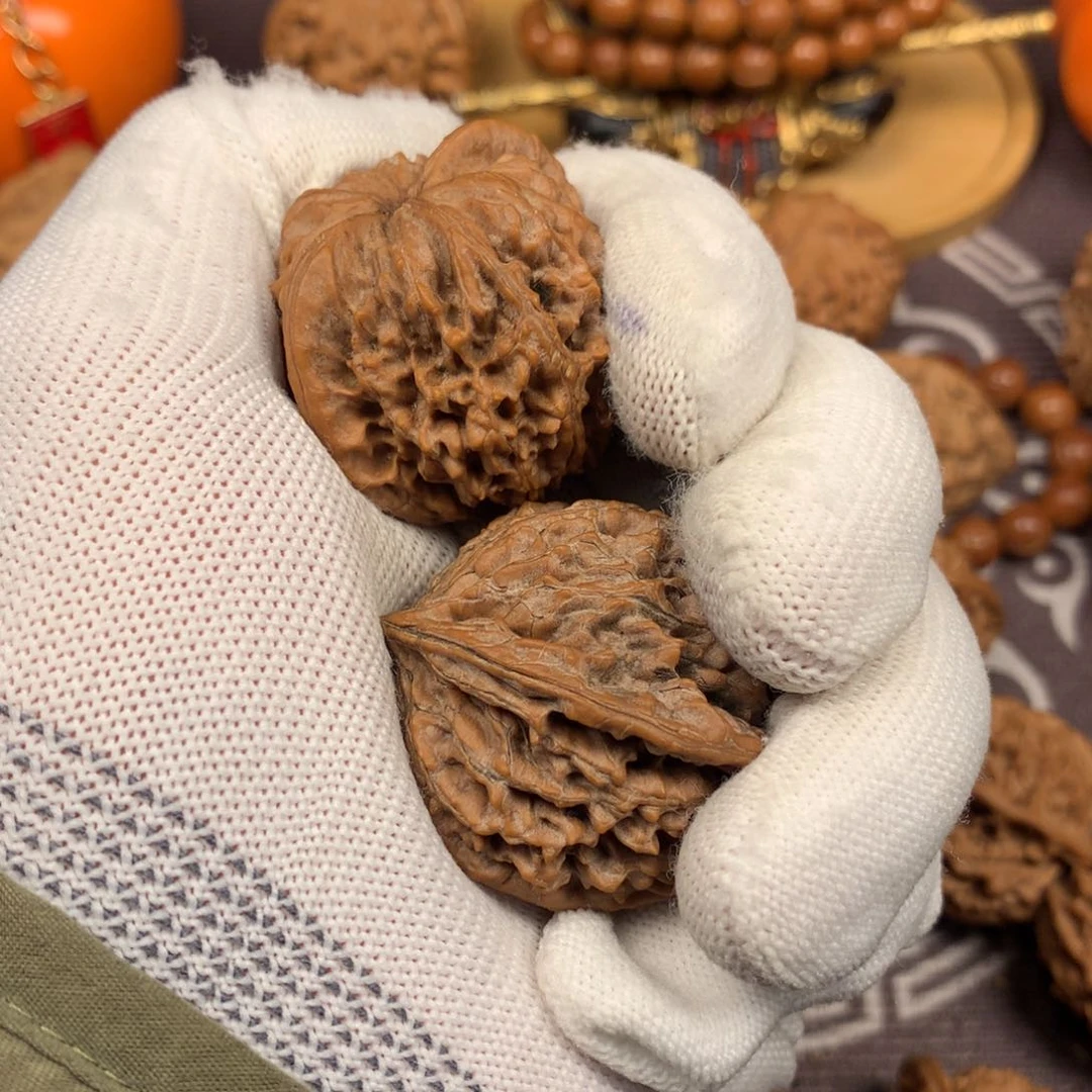 秦岭南北区有什么地方