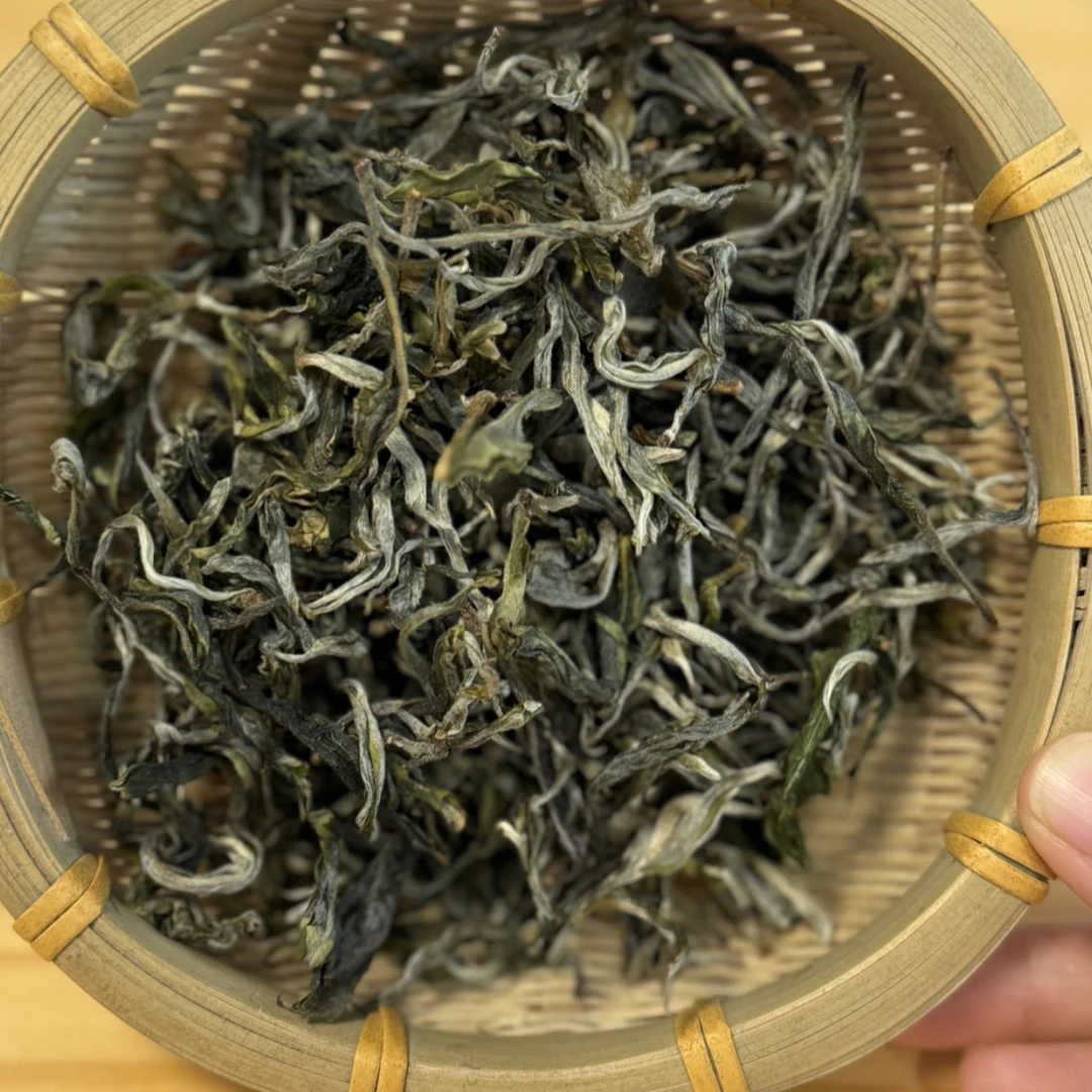 2025年头春·凤凰窝·古树生茶（可定制）