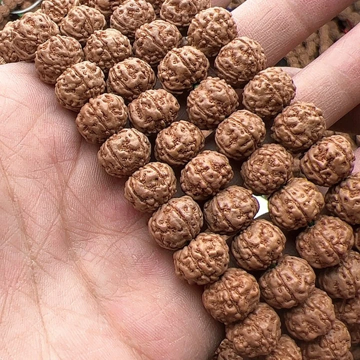 金刚菩提手串0**4树王