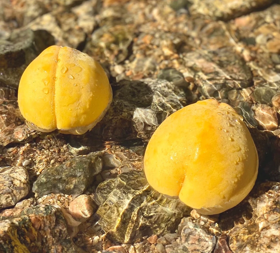 炎陵黄桃现摘现发香甜脆新鲜水果5斤装 正宗炎陵锦绣黄桃