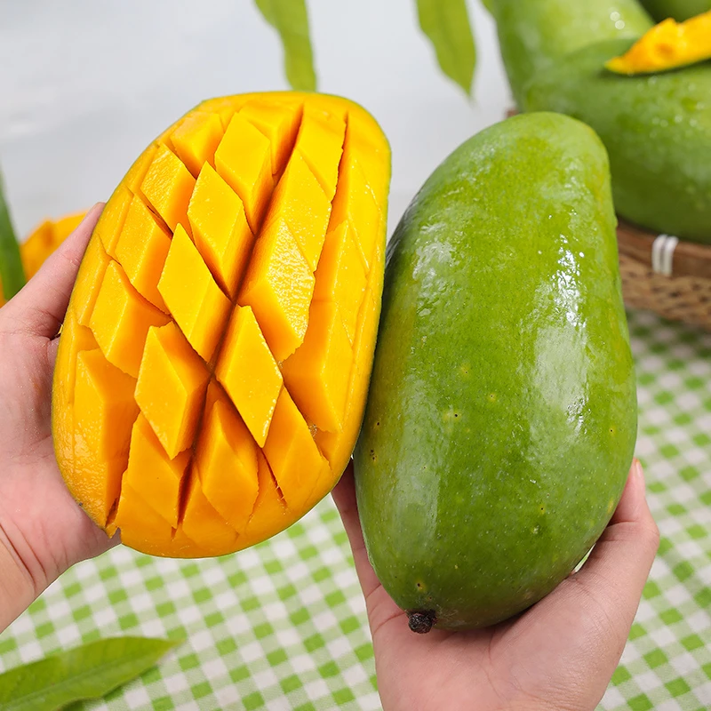 【青皮金煌芒】大青芒新鲜芒果青皮金煌芒大芒果