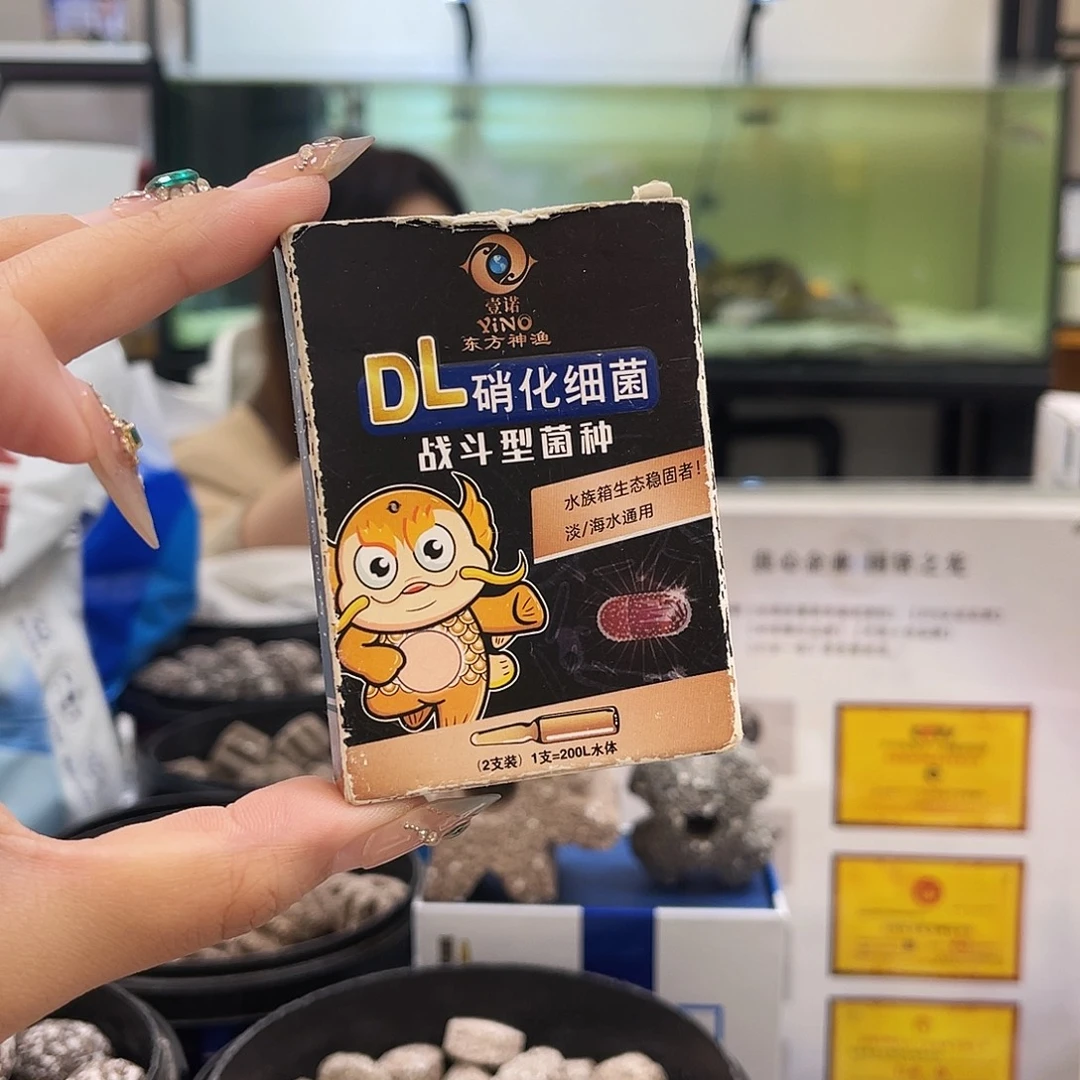 2只战斗活菌福利款