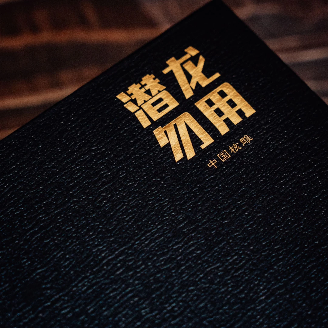 观渡-【铁核财弥】橄榄核小众文玩手串