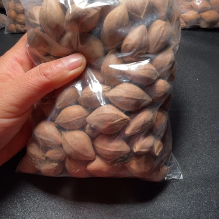 天***客手串/手链猪牙我是